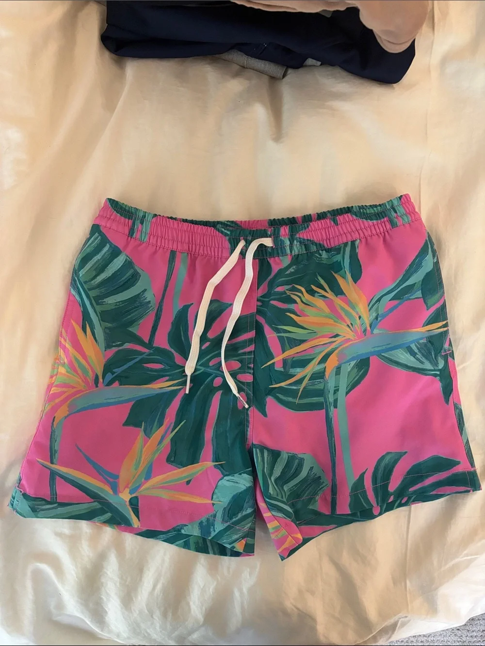 chubbies Teal and Pink Retro Swim Trunks